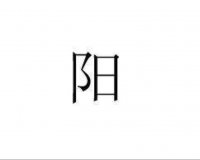 洛小阳的旧站公开头像