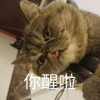 司云崖韵逐律的旧站公开头像